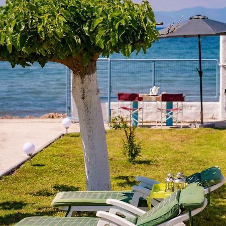 Villa Kiko, The Coastline House Kato Achaia Esterno foto
